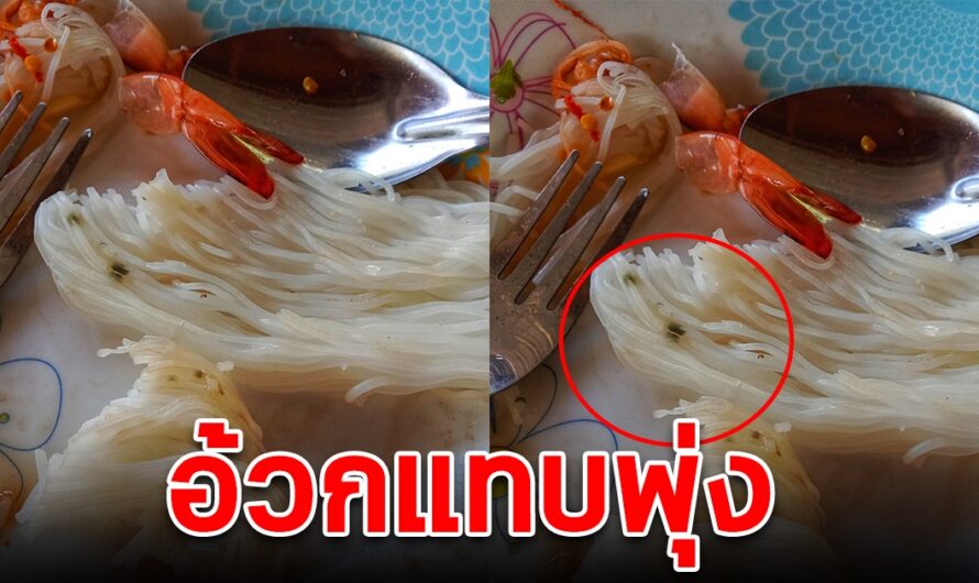 สาวหิวจนตาลาย กินขนมจีนเกือบจะหมดจาน กำลังจะตักคำสุดท้าย สะดุดตาจุดดำๆ