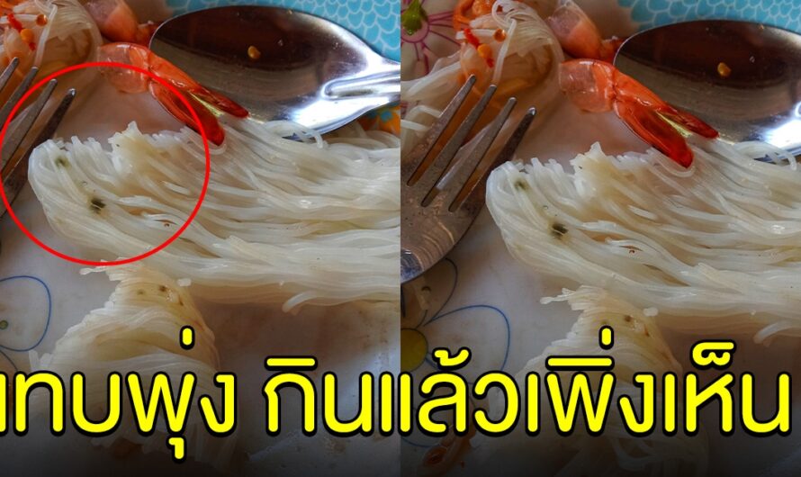 สาวตกใจหนัก หลังสั่งขนมจีนมากินกับส้มตำ เตือนระวังให้ดี