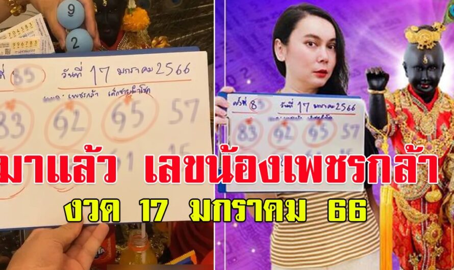 มาแล้ว เลขน้องเพชรกล้า 17 มกราคม 66