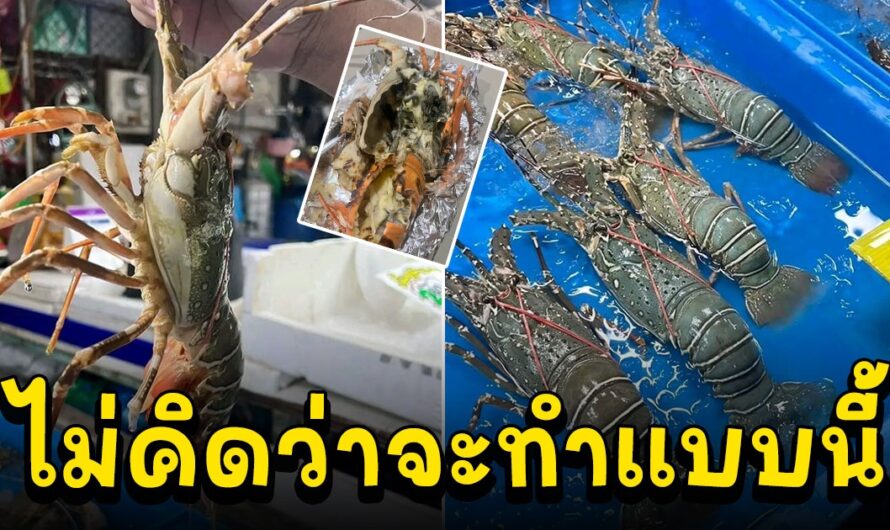 หนุ่มแวะซื้อกุ้งมังกร ตัวละ 500 ไว้ใจให้ร้านย่างให้ กลับมาอีกทีทำเสียความรู้สึกมาก