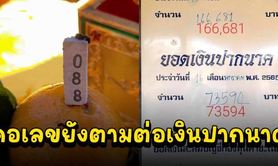 ผัวเมียชาวเชียงใหม่มาบวงสรวงแก้บนและเปิดทรัพย์รับโชคปีละครั้ง คอเลขยังตามต่อเงินปากนาค