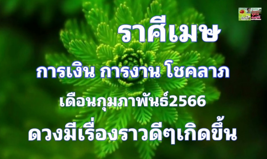 ราศีเมษ กุมภาพันธ์66 มีเรื่องราวดีๆเกิดขึ้น🔮การเงิน โชคลาภ