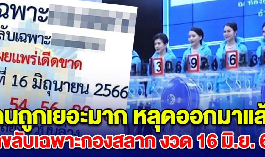 คนถูกเยอะมาก หลุดออกมาแล้ว เลขลับเฉพาะกองสลาก งวด 16 มิ.ย. 66 หลังงวดที่แล้วเข้าเต็มๆ