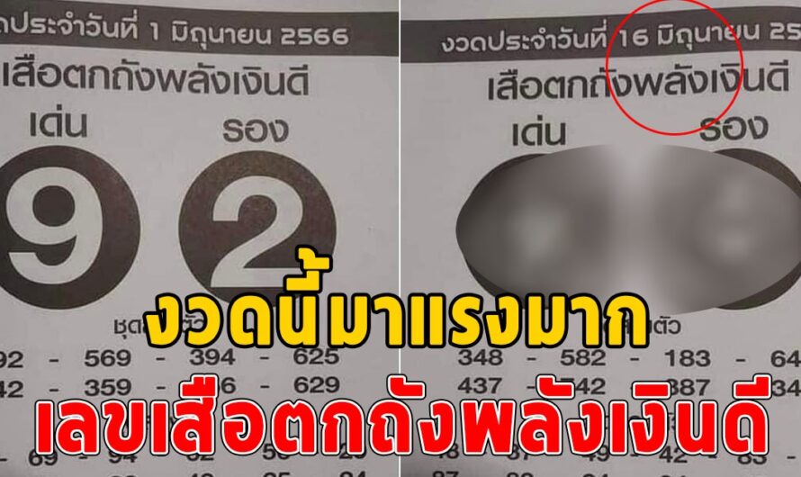 พลาดแล้วจะเสียดาย เลขเสือตกถังพลังเงินดี งวด 16 มิถุนายน 2566