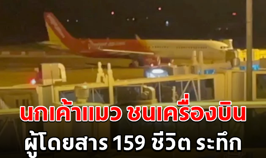 ระทึก นกเค้าแมว บินชนเครื่องบิน ผู้โดยสาร 159 ชีวิตผวา