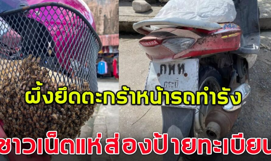 สาวจอดรถไม่ถึง 5 นาที โดนฝูงผึ้ง ยึดตะกร้าหน้ารถทำรัง ชาวบ้านไม่พลาดแห่ส่องป้ายทะเบียน