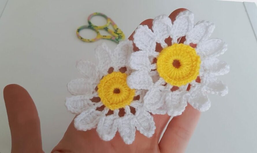 Crochet Daisy Flower Model